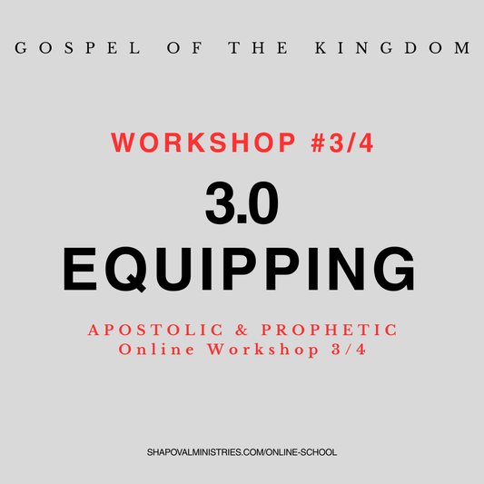 3.0 MENTORSHIP: Снаряжение 3.0